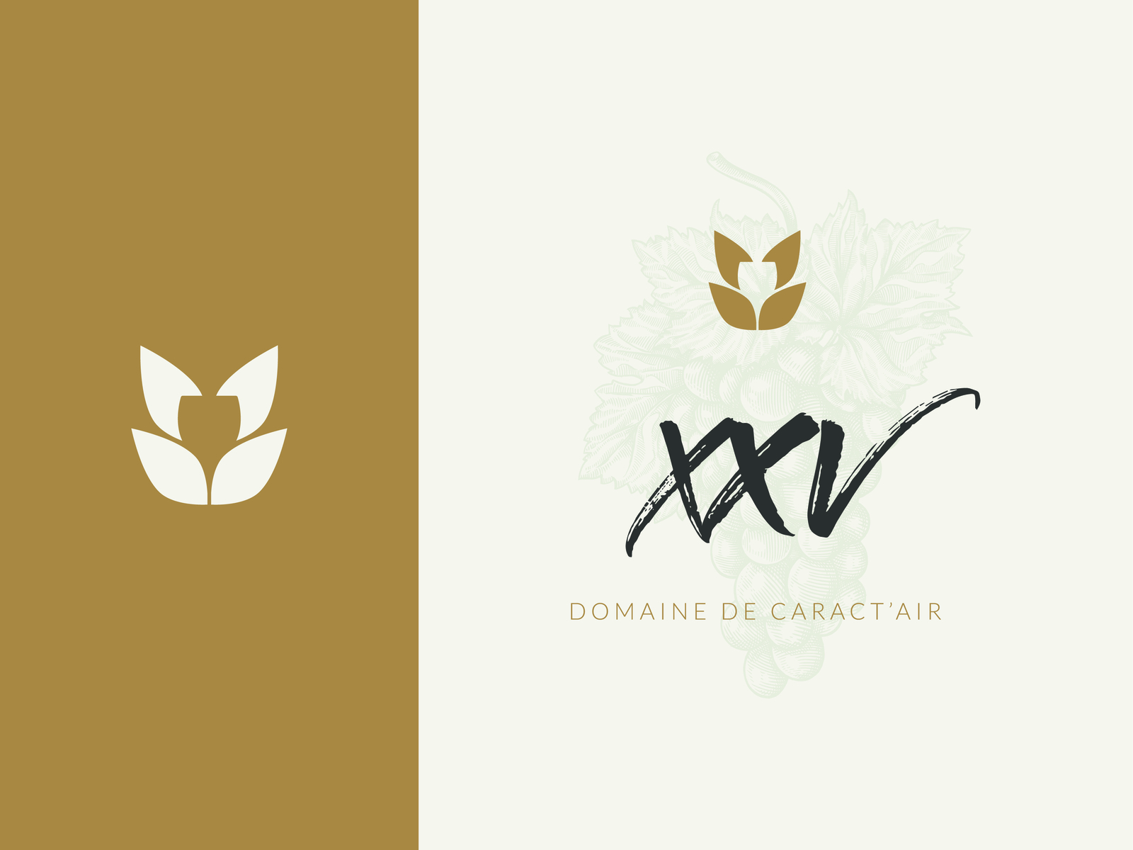 Logotype — XXV by Loren Montilla on Dribbble