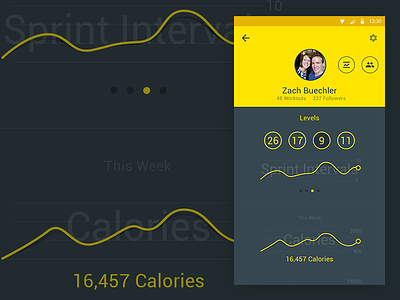 Workout Profile Concept android android l chart design exercise graph l material material design profile workout