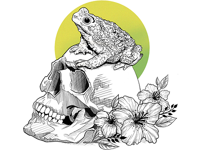 The skull and the frog art collage colors design digital digital art digitalart draw illustration