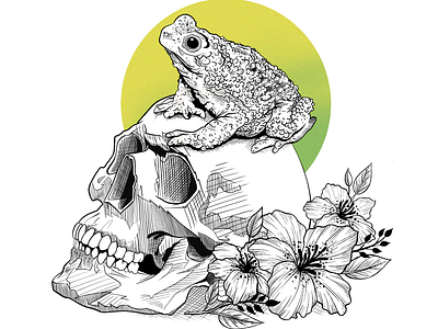 The skull and the frog