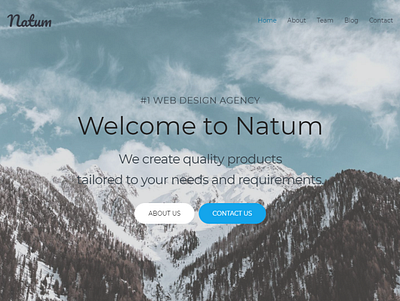 Web Design Multipurpose WordPress Theme - Natum blog design design elementor elementor templates website template wordpress design wordpress designs wordpress theme