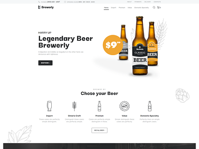 Multifunctional Beer Shop WooCommerce Theme - Brewerly blog design business design elementor elementor templates themes woocommerce theme wordpress design wordpress theme wordpress themes