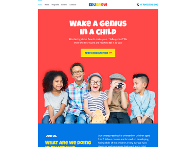 Preschool WordPress Theme with a Vivid Design - Edugrow