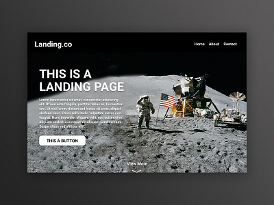 landing.co landing page app branding dailyui design ui ux web website