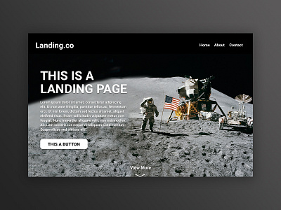 landing.co landing page