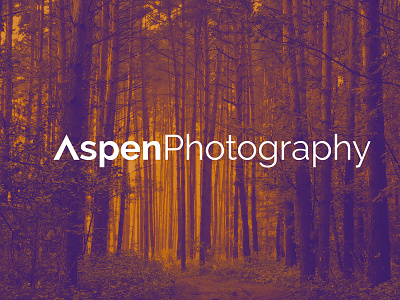 Aspen Photography orange photography logo purple