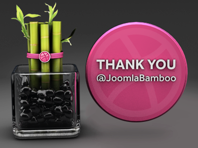 Lucky Bamboo 3d bamboo branding c4d debut glass rocks thank you