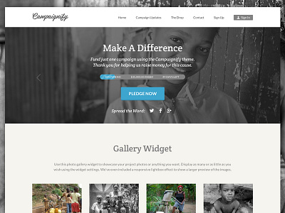 Campaignify Charity Theme Example