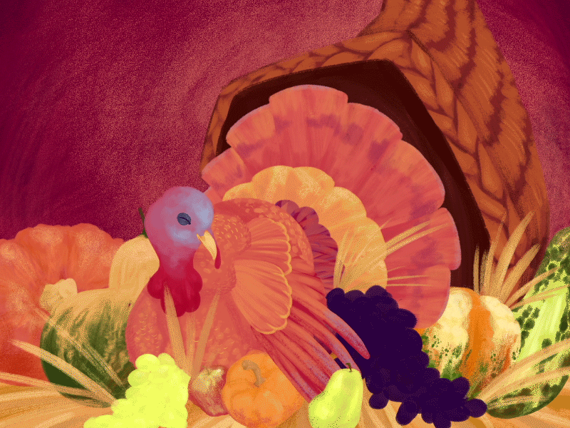 Cadieux Thanksgiving 2014 after effects animation illustration photoshop thanksgiving turkey