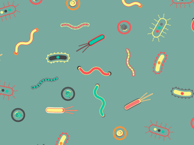 Microbes! after effects bacteria germs health if our bodies could talk illustrator microbes microbiome science the atlantic ubiome