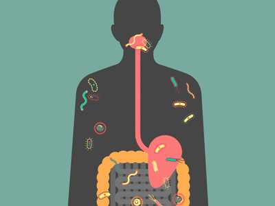 Your Microbes and You after effects bacteria germs health if our bodies could talk illustrator microbes microbiome science the atlantic ubiome