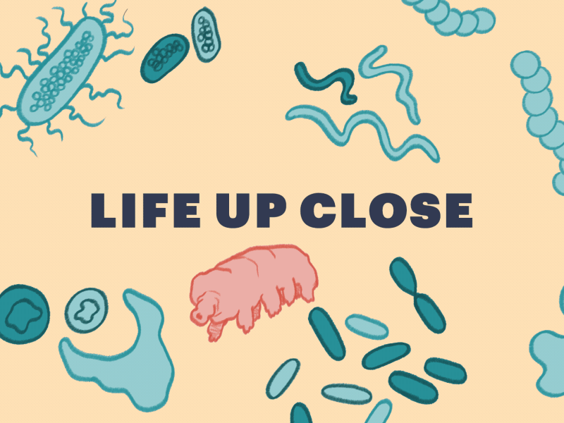 Life Up Close – Process biology cel animation life sciences life up close nature photoshop tardigrade the atlantic title sequence zoology