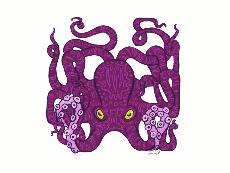 Octopus cephalopod gouache ipad marine octopus photoshop photoshop art procreate squid tentacles