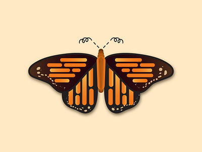 Monarch Butterfly butterfly design design art designdaily illustration monarch butterfly vector vector illustration vectorillustration