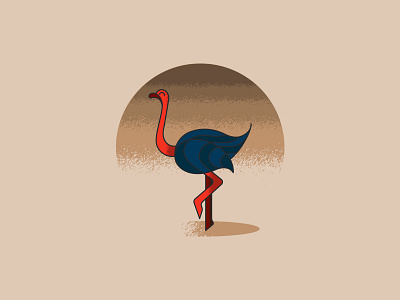 Ostrich adobe illustrator animal animal art animal illustration animals bird bird illustration design design art designdaily illustration illustration design ostrich vector