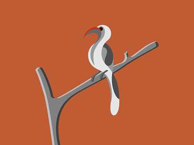 Red Billed Hornbill 2d 2d art adobe illustrator bird bird illustration branch design design art designdaily flat flat illustration graphic hornbill illustration illustration design vector