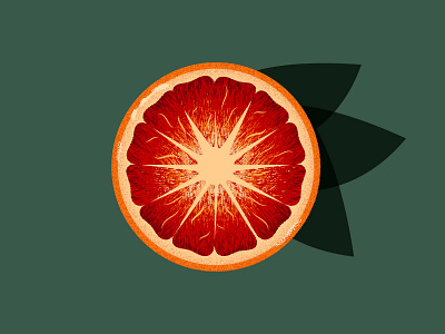 Blood Orange 2d 2d art adobe illustrator blood orange designdaily flat flat illustration fruit fruit illustration fruits fruity graphic illustration illustration design orange texture vector