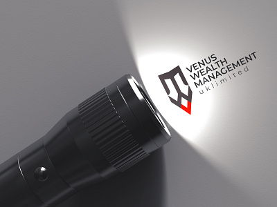 VWM Letter Mark Logo