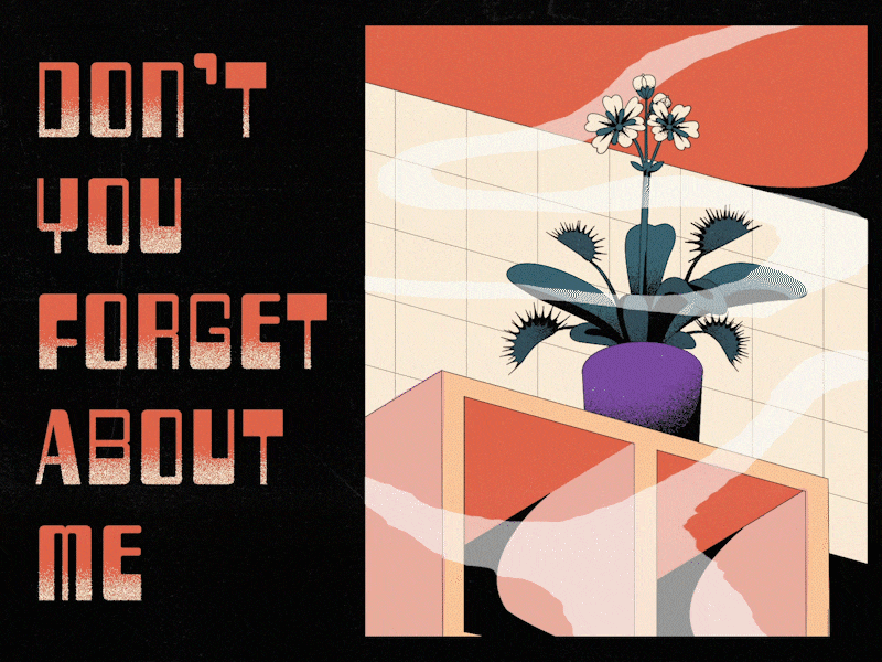 Don't You Forget About Me ☹ adobe illustrator aftereffects animation design digital illustration motion design motiongraphics plant vector