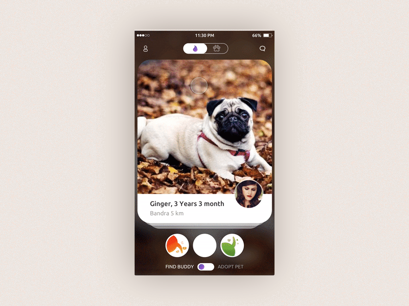 Animal Lover App