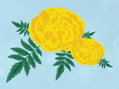 Marigold adobeillustator flower graphic design illustration nepal vectors