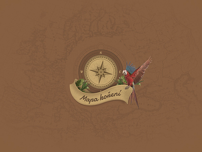 Pirate Compass Loader animation cartoon gif illustration map parrot vintage