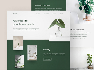 Care - Indoor Plant Website branding care clean design trends green indoor indoor plants landing page minimalist modern plants trends trends 2021 ui ui design ux ux design web design website