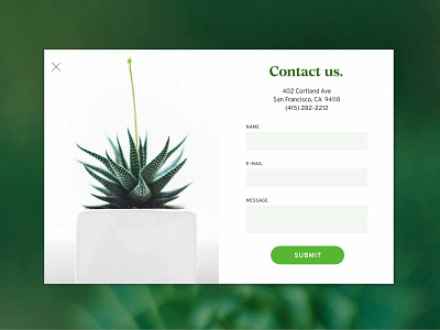 Non-Daily UI #28 contact us contact us daily ui dailyui form field forms green input field modal nondaily ui plant succulent ui