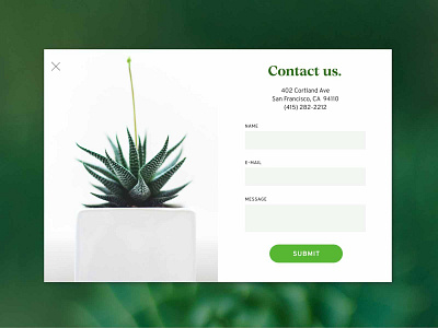 Non-Daily UI #28 contact us