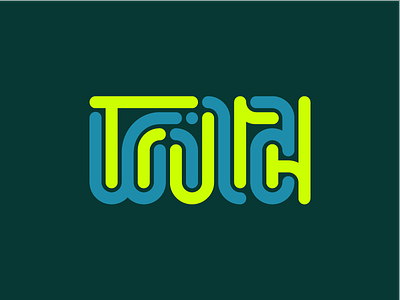 Wild Truth branding branding catholic codecourse guatemala intertwined logo promo theology trippy truth wild wild truth