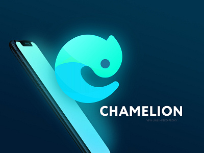 Chameleon app VPN