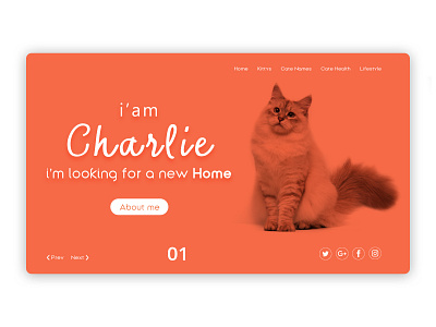 Cate Care adope xd animals cat illustration cats dogs illustrator pets photoshop ui design uiux