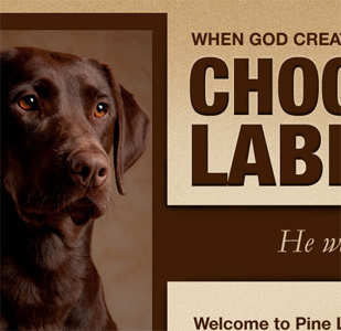 Pine Line Labs chocolate labs helvetica neue condensed black