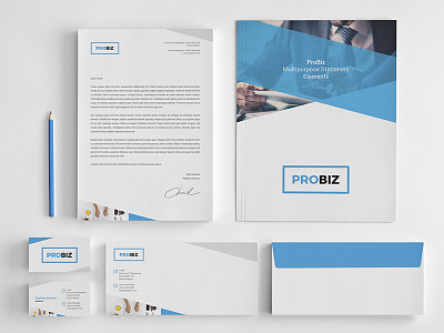 Probiz – Business And Corporate Brochure Stationery agency blue business business card corporate creative agency envelope presentation folder print ready stationery