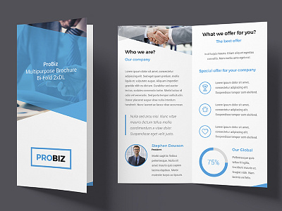 ProBiz – Business and Corporate Brochure Bi-Fold agency bi fold blue brochure circle creative multipurpose offer print ready progress bar skill work