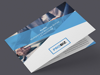 ProBiz – Business & Corporate Brochure Bi-Fold A5 Horizontal