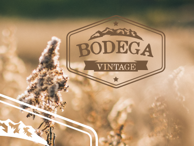 Bodega Vintage