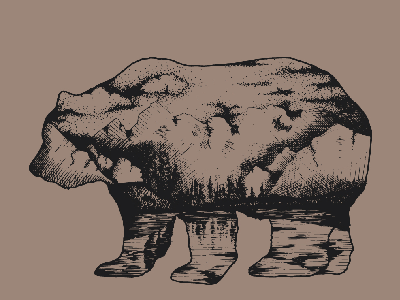 Crosshatching nature in a bear shape