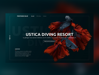 Web Design - Ustica Diving Resort design diving figma product design red and blue ui ui design website wordpress design