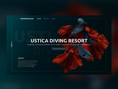 Web Design - Ustica Diving Resort