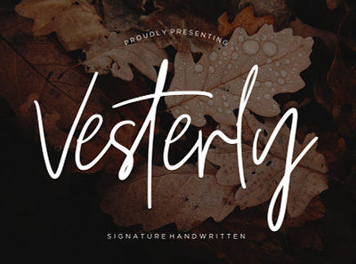 Vesterly Signature Handwritten Font branding font font design font download font family fonts hand draw hand drawn hand typography handletter handlettered handmade logo signature signature font signature fonts signature logo typeface typefaces