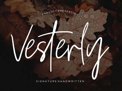 Vesterly Signature Handwritten Font