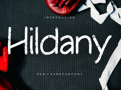 Hildany Sans Fun Font