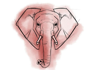 Elephant? elephant illustration