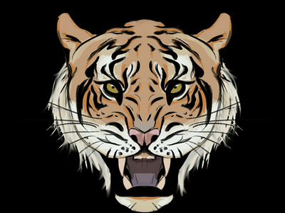 Tiger illustration cat illustration tiger