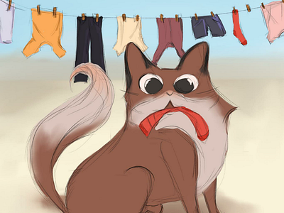 The sock mystery solved cartoon cat cute illustration sock
