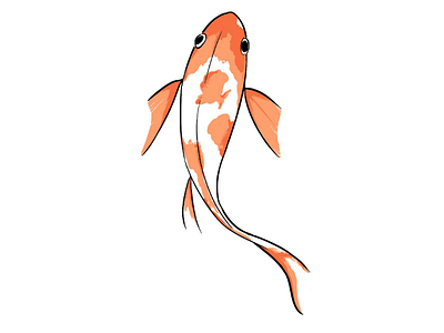 A fish Illustration fish illustration koi minimalist