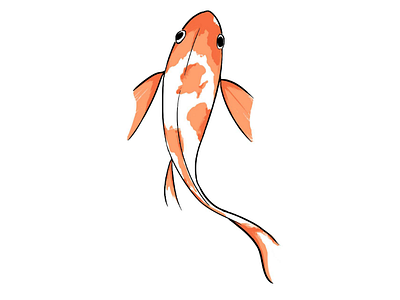 A fish Illustration