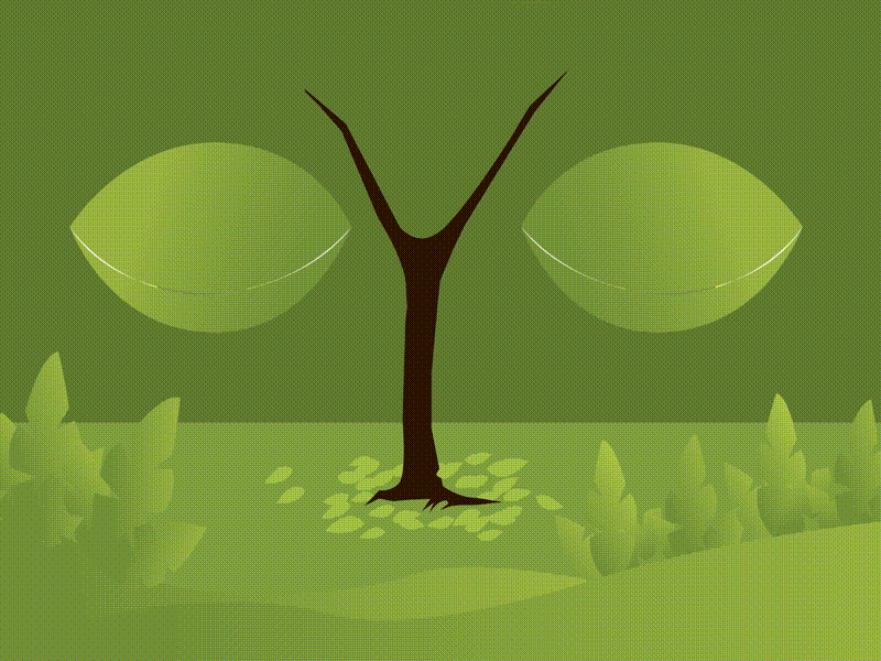 A tree in the park by Ayush Rai animation ayush design graphics illustration motion motiongraphics park rai tree