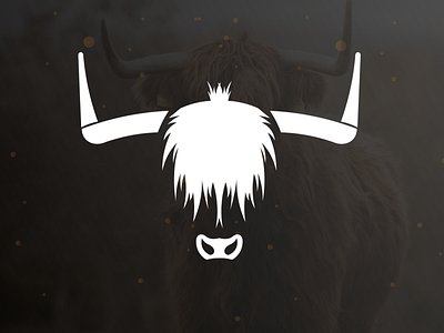 Highland cow's face adobe illustrator adobe tutorials animal logo animal logo design animal logo illustrator branding cow cow desigen cow face cow logo cow vector design graphic design illustration logo picture to vector simple logo design vector youtube